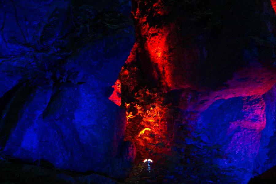 2015_Sommernachtsraum (5).jpg